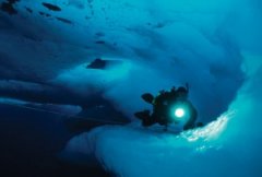 PADI��Ǳר�� ����