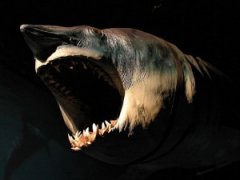 սʤˮ�����ĵ���–����