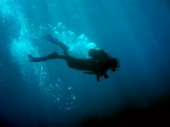 �޷���Ǳ��ô�죿