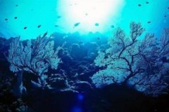 ����ˮ����Ӧ�Է���