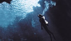 ��ʡ����������