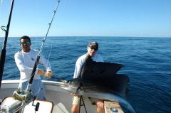 ����ͧ����������Ǳ����Щ��Ҫע��