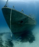 �����Ľ�ѵ���ƻ������²�