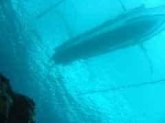 �����Ľ�ѵ��������������������ȥ