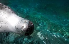 ��ǱˮԱץ�ĺ�����������ɰ�΢Ц����