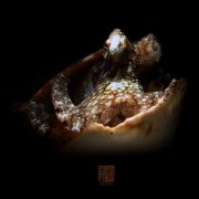 <b>ˮ����Ӱ΢������43��</b>