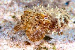 ˮ����Ӱ΢������13��