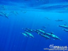 <b>�����ڹ�԰���������ڿ���Ƥ�����;��㣡</b>