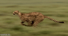 ʲô�����ޱ�����Ǳˮ�ˣ��㻹���᣿��