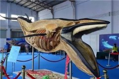 ����Ǳˮ�������ķ�ʽҲ�����׽���������������԰ɣ�