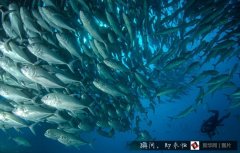 ǱˮԱ����������������Ⱥ