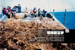 ɺ��������