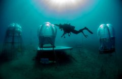 �⹫˾�����ں����������߲� ����ˮ������Ȧ