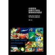 �й��Ϻ�������ɳȺ��ɺ��������ͼ��ǰ��