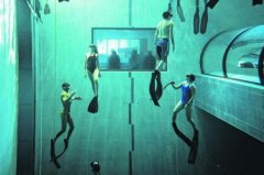 ���������Ǳˮ��������������������Y-40 The Deep Joy�ν�