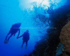 ��Ǳ�顢�û��