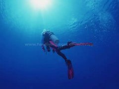 ����Ǳˮ֤���Ҹÿ����ĸ�����