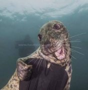 ˮ����Ӱ������С��������ǱˮԱ����